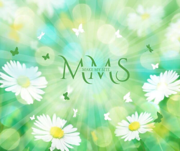 MMS-logo